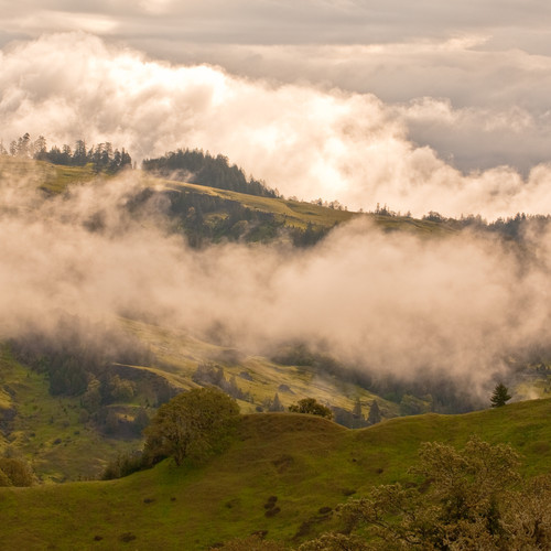 After the Gold Rush » Garberville